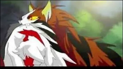 Que dit Griffe de Tigre quand il ramène le corps de Plume Rousse ?