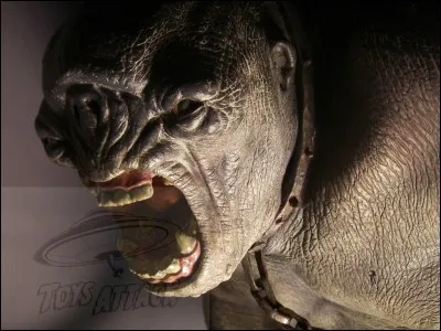 Comment Frodon survit-il au Troll dans la Moria?