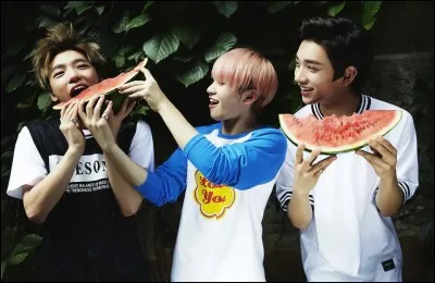 Combien sont les Seventeen ?