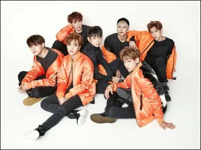 Qui est le leader de GOT7 ?