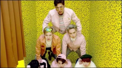 En quelle année ont débuté les B.A.P ?