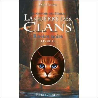 Qui est le chef du Clan de l'Ombre ?