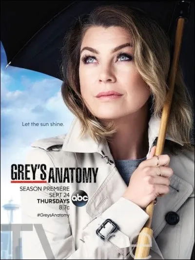 "Grey's Anatomy" est une série...