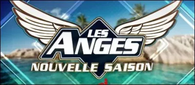 Les Anges sont-ils connus ?
