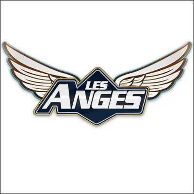 "Les Anges de la téléréalité" est une émission autorisée à partir de l'âge de :