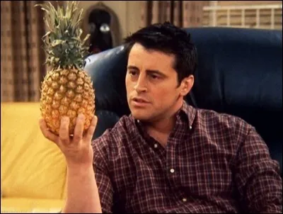 Combien de surs Joey a-t-il ?