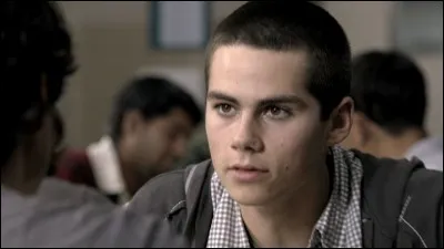 De qui Stiles est-il amoureux ?