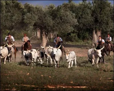 Créé en 1975, quel parc naturel s'étend sur 9800 hectares le long de la côte toscane ?