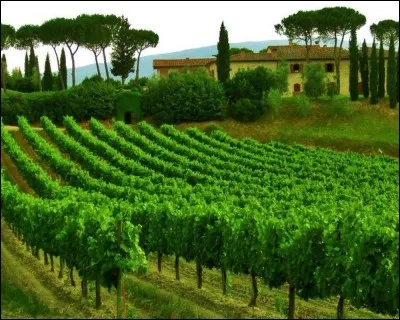 Quel vin, issu généralement de deux cépages, est produit en Toscane dans la région éponyme?