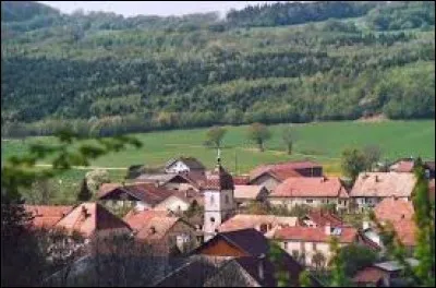 Nous partons dans l'ancienne r&eacute;gion Franche-Comt&eacute; &agrave; la d&eacute;couverte de Landresse. Nous serons dans le d&eacute;partement ...