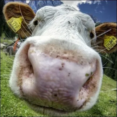 Quelle personne n'a-t-il pas en amie sur YouTube ?