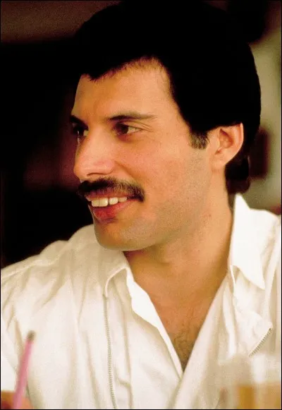 À ses débuts, il joue dans le groupe :