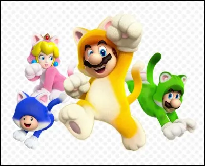 Dans "Mario 3D World" que faut-il sauver ?