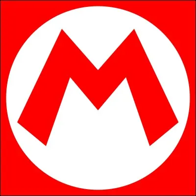 Dans "Mario 64 DS" qui sont les personnages ?