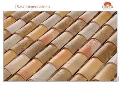 Quel est le coloris de ces tuiles ?