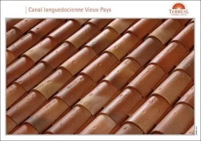 Quel est le coloris de ces tuiles ?