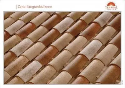 Quel est le coloris de ces tuiles ?