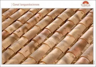 Quel est le coloris de ces tuiles ?