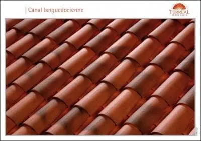 Quel est le coloris de ces tuiles ?