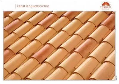 Quel est le coloris de ces tuiles ?