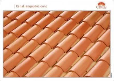 Quel est le coloris de ces tuiles ?