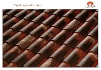 Quel est le coloris de ces tuiles ?