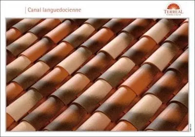 Quel est le coloris de ces tuiles ?