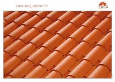 Quel est le coloris de ces tuiles ?