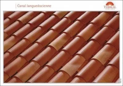 Quel est le coloris de ces tuiles ?