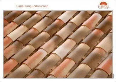 Quel est le coloris de ces tuiles ?