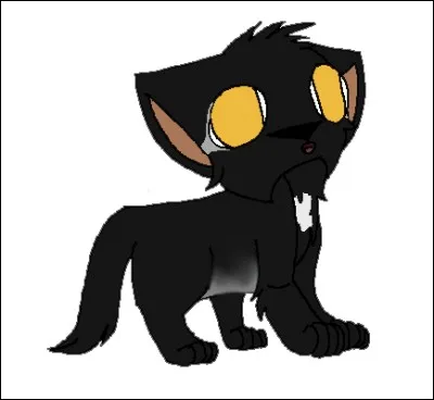 De qui Suki est-il le frère ?