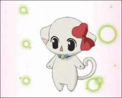 Comment s'appelle cette chatte ?