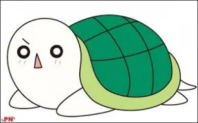 Comment s'appelle cette tortue ?