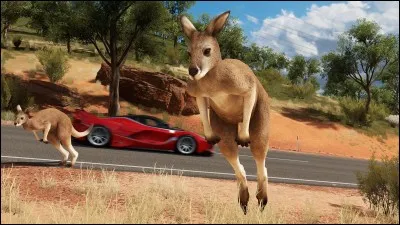 Y a-t-il des animaux dans "Forza Horizon 3" ou uniquement dans les cinématiques ?