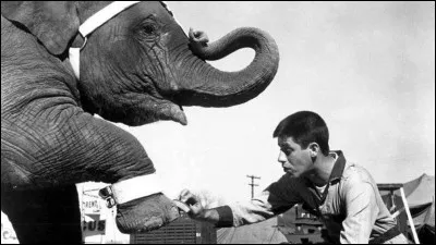 Complétez le titre : Le Clown est...