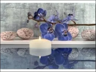 Petit cigare confectionné avec des débris de tabac et non de feuilles entières :