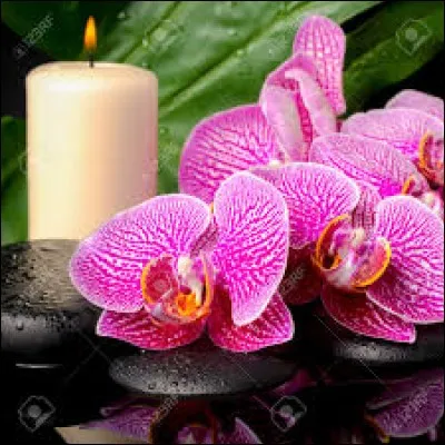 Matière calcaire, blanche, dure, à reflets irisés, sécrétée par certains mollusques et qui revêt l'intérieur de leur coquille :