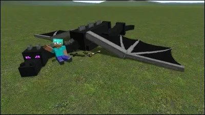 Quel est le boss final du jeu ?