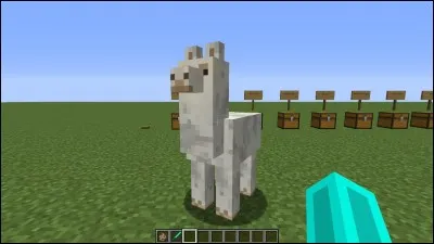 En quelle version est sorti le lama ?