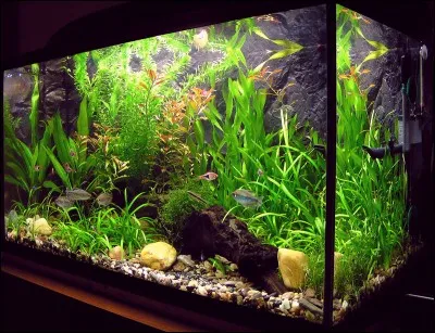 Mon aquarium mesure 120 x 45 x ? ; quelle dimension est manquante, pour que le volume fasse 216 litres ?