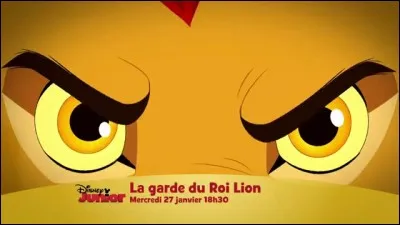 Dans "La Garde du roi lion" comment s'appelle le fils de Simba ?