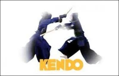 Vous avez décidé de pratiqué le kendo.
Que peut-on maintenant dire de vous ?