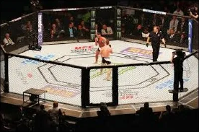En MMA (Arts Martiaux Mixtes) ou anciennement free fight, quelle technique est autorisée ?