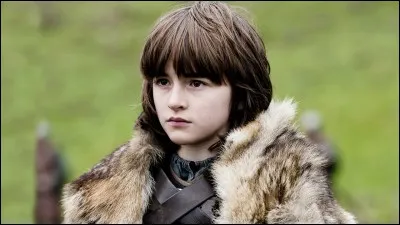 Avec qui Bran Stark arrive-t-il au nord du mur ?