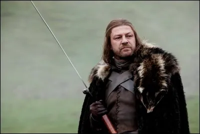Au commencement de la série, quels sont les titres d'Eddard Stark ?