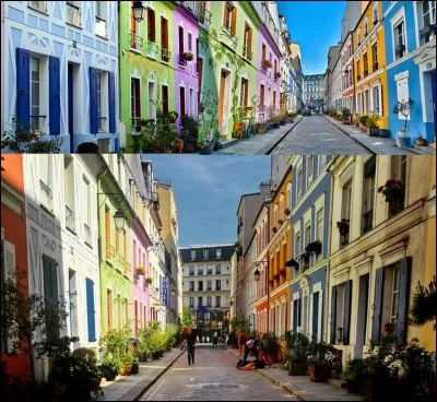 Allons « rue Crémieux » !
Voici une rue où l'on peut croire que l'on n'est pas à Paris ! On pourrait se croire à Portobello (Londres), sur l'île de Murano (Venise) ou encore Valparaiso au Chili. Que de couleurs, que de chats !
Mais quelle est l'autre particularité de cette rue ?