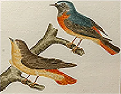 Elle est d'une pureté exemplaire.