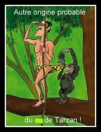 Quelle lettre faut-il insérer dans le mot "ci" pour obtenir celui de Tarzan ?