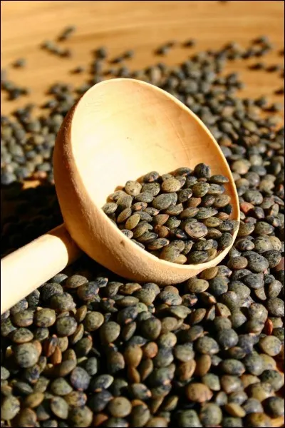 Quelle lettre faut-il insérer dans le mot "es" pour obtenir le nom de cette variété de lentille ?