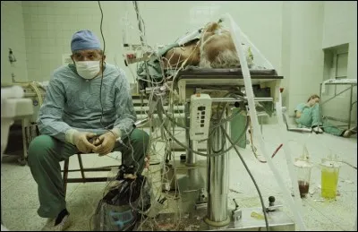 Que voit-on sur cette photo ?